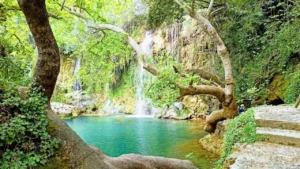 Aksu Fayans Ustası – Antalya’nın Gelişen Bölgelerinde Kaliteli Seramik Hizmeti